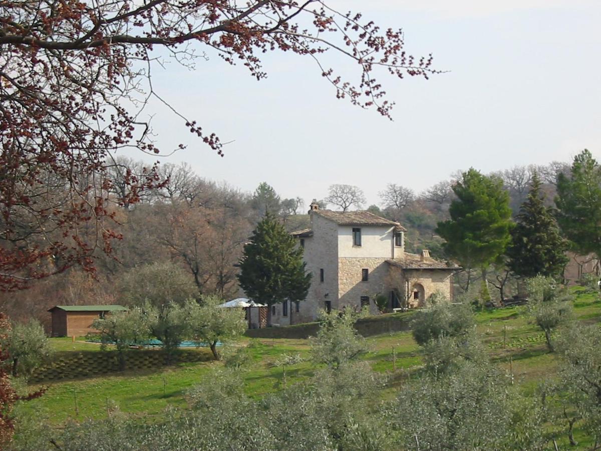 Girasole - Agriturismo Fogliani Giano dell'Umbria Экстерьер фото
